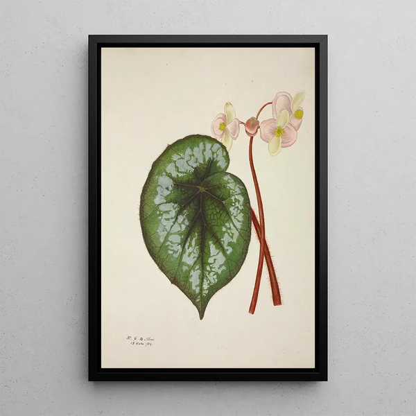 Mon Jardin à Ceylan Pl225 - George De Alwis — framed artwork on a wall