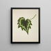 Mon Jardin à Ceylan Pl226 - George De Alwis — framed artwork on a wall