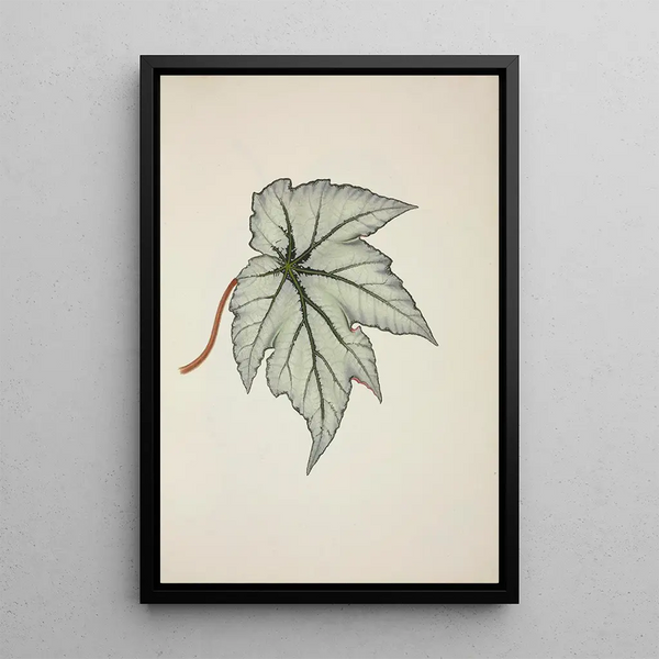 Mon Jardin à Ceylan Pl227 - George De Alwis — framed artwork on a wall