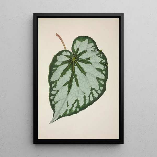 Mon Jardin à Ceylan Pl228 - George De Alwis — framed artwork on a wall