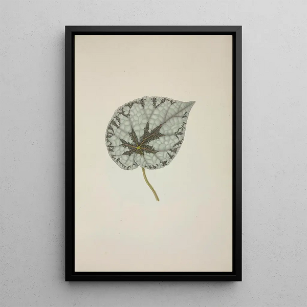 My Garden in Ceylon Pl229 - George De Alwis — framed artwork on a wall