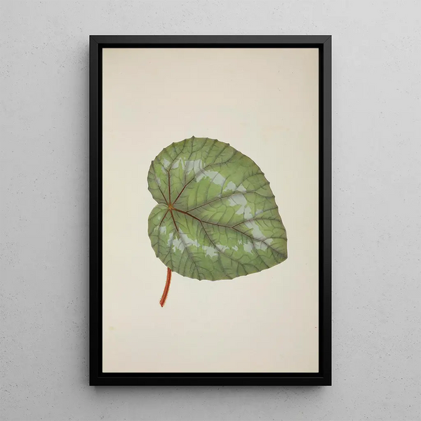 My Garden in Ceylon Pl230 - George De Alwis — framed artwork on a wall