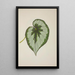 My Garden in Ceylon Pl231 - George De Alwis — framed artwork on a wall