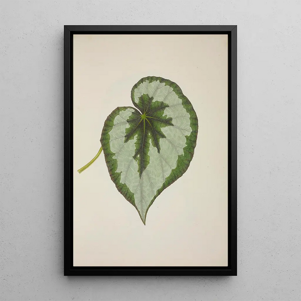 My Garden in Ceylon Pl231 - George De Alwis — framed artwork on a wall
