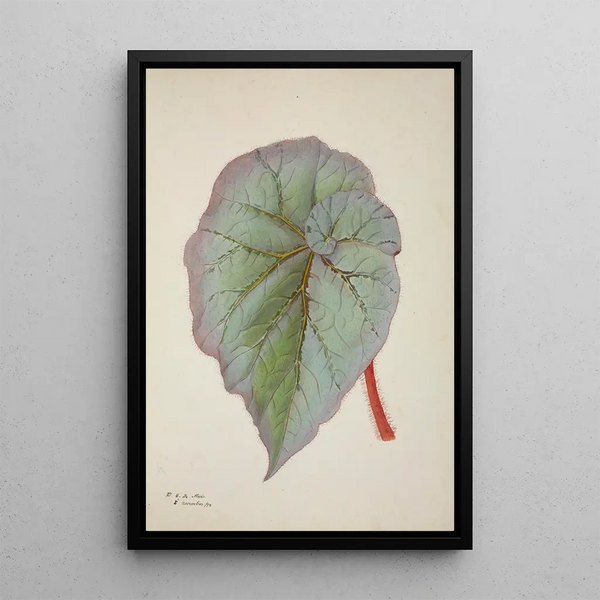 My Garden in Ceylon Pl232 - George De Alwis — framed artwork on a wall