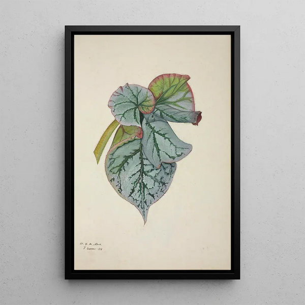 Mon Jardin à Ceylan Pl233 - George De Alwis — framed artwork on a wall