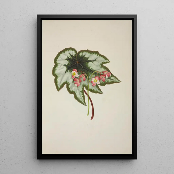 My Garden in Ceylon Pl235 - George De Alwis — framed artwork on a wall