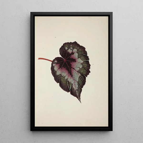 Mon Jardin à Ceylan Pl236 - George De Alwis — framed artwork on a wall