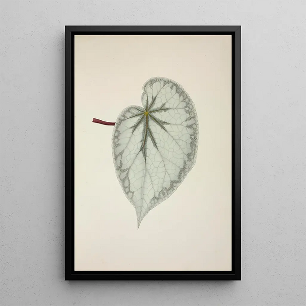 Mon Jardin à Ceylan Pl238 - George De Alwis — framed artwork on a wall