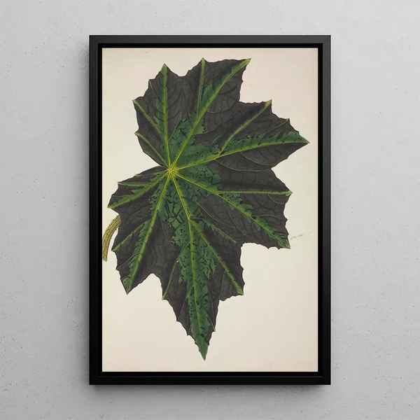 Mon Jardin à Ceylan Pl240 - George De Alwis — framed artwork on a wall