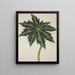 Mon Jardin à Ceylan Pl241 - George De Alwis — framed artwork on a wall