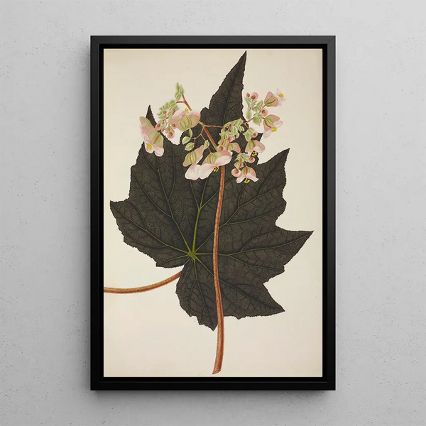 Mon Jardin à Ceylan Pl242 - George De Alwis — framed artwork on a wall