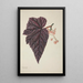 My Garden in Ceylon Pl243 - George De Alwis — framed artwork on a wall