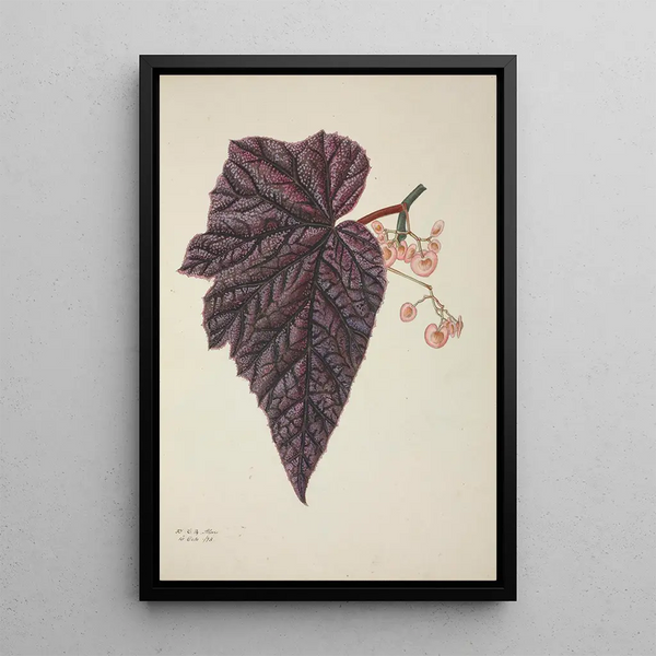 My Garden in Ceylon Pl243 - George De Alwis — framed artwork on a wall