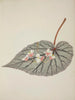 My Garden in Ceylon Pl244 - George De Alwis — artwork view
