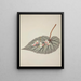 My Garden in Ceylon Pl244 - George De Alwis — framed artwork on a wall