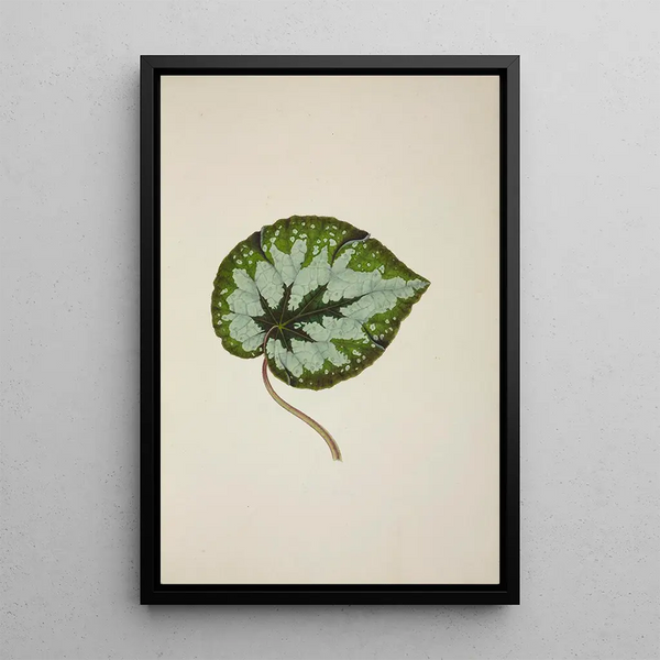 Mon Jardin à Ceylan Pl245 - George De Alwis — framed artwork on a wall