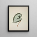 My Garden in Ceylon Pl246 - George De Alwis — framed artwork on a wall