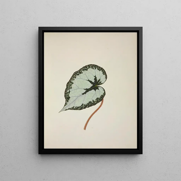 My Garden in Ceylon Pl246 - George De Alwis — framed artwork on a wall