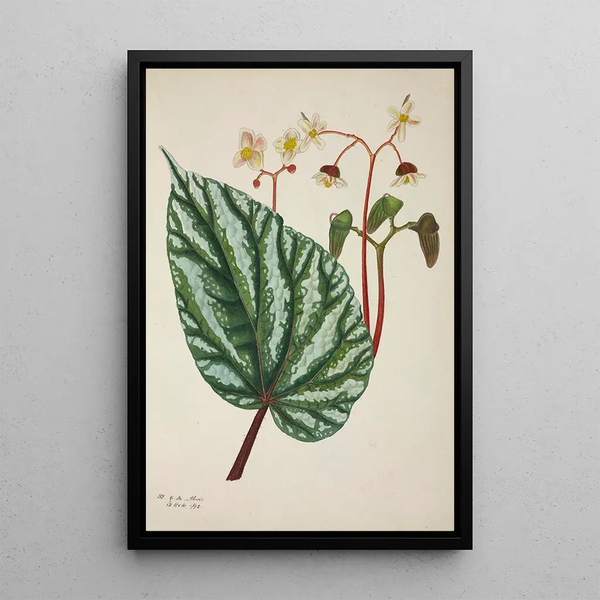 Mon Jardin à Ceylan Pl247 - George De Alwis — framed artwork on a wall