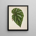 Mon Jardin à Ceylan Pl248 - George De Alwis — framed artwork on a wall