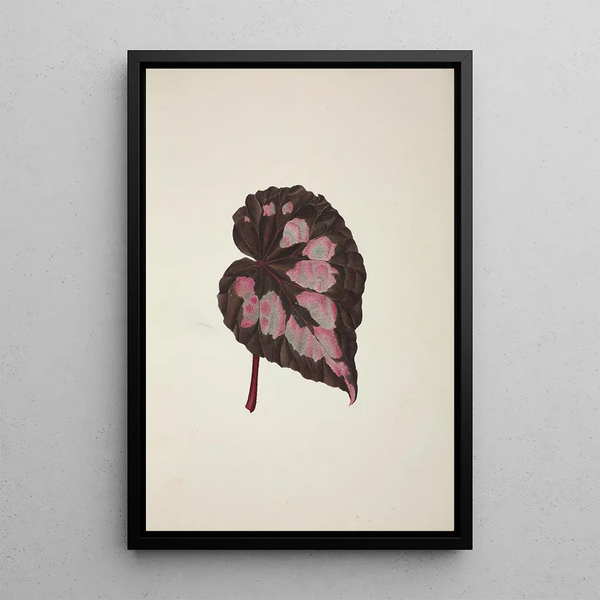 Mon Jardin à Ceylan Pl249 - George De Alwis — framed artwork on a wall