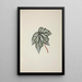 Mon Jardin à Ceylan Pl250 - George De Alwis — framed artwork on a wall