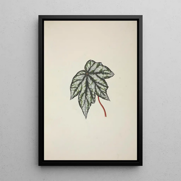Mon Jardin à Ceylan Pl250 - George De Alwis — framed artwork on a wall