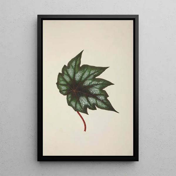 My Garden in Ceylon Pl251 - George De Alwis — framed artwork on a wall