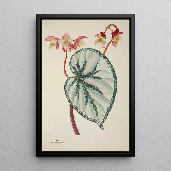 Mon Jardin à Ceylan Pl252 - George De Alwis — framed artwork on a wall