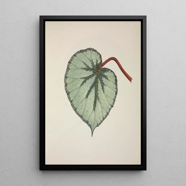 My Garden in Ceylon Pl254 - George De Alwis — framed artwork on a wall