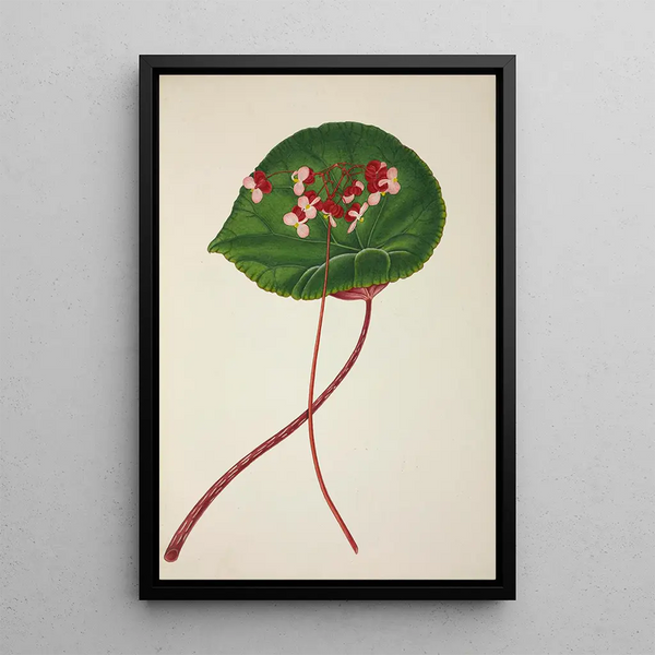 Mon Jardin à Ceylan Pl255 - George De Alwis — framed artwork on a wall