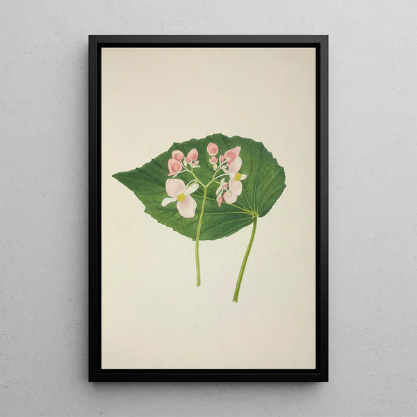 Mon Jardin à Ceylan Pl256 - George De Alwis — framed artwork on a wall