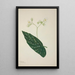 Mon Jardin à Ceylan Pl257 - George De Alwis — framed artwork on a wall