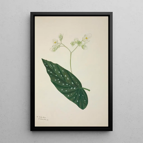 Mon Jardin à Ceylan Pl257 - George De Alwis — framed artwork on a wall