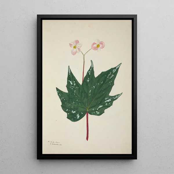 Mon Jardin à Ceylan Pl260 - George De Alwis — framed artwork on a wall