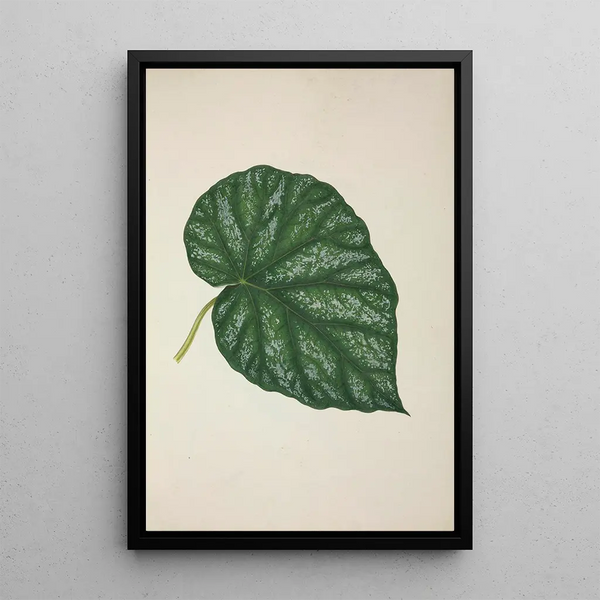 My Garden in Ceylon Pl261 - George De Alwis — framed artwork on a wall