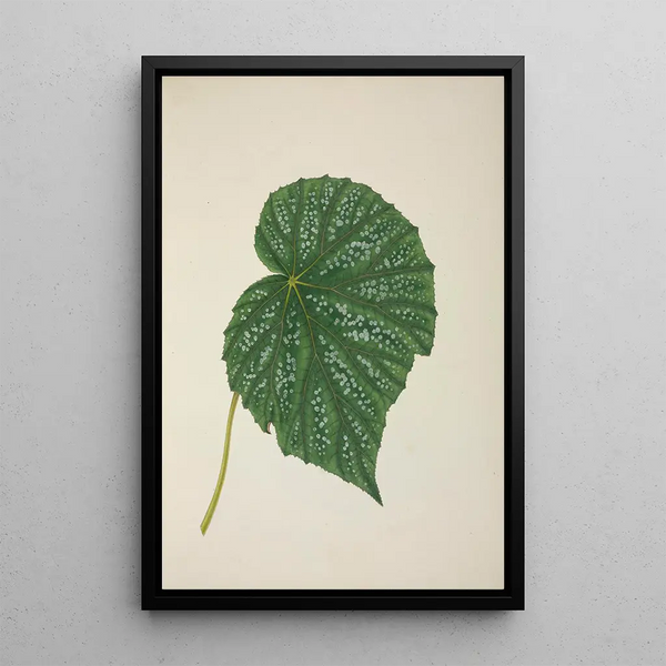 Mon Jardin à Ceylan Pl262 - George De Alwis — framed artwork on a wall