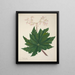 Mon Jardin à Ceylan Pl264 - George De Alwis — framed artwork on a wall