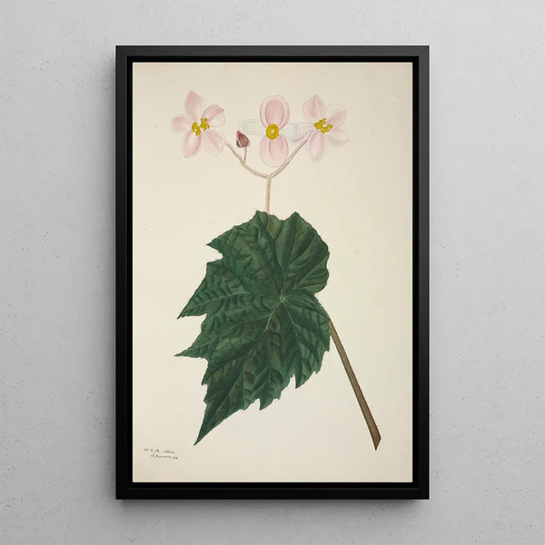 My Garden in Ceylon Pl265 - George De Alwis — framed artwork on a wall