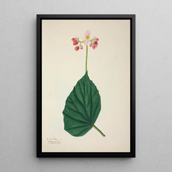 Mon Jardin à Ceylan Pl266 - George De Alwis — framed artwork on a wall