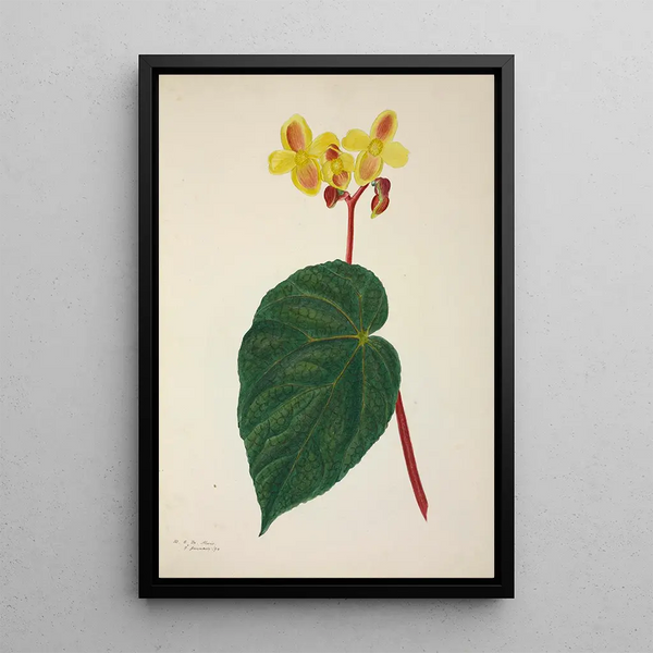 Mon Jardin à Ceylan Pl268 - George De Alwis — framed artwork on a wall