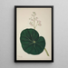 My Garden in Ceylon Pl269 - George De Alwis — framed artwork on a wall