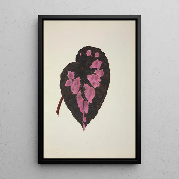 Mon Jardin à Ceylan Pl271 - George De Alwis — framed artwork on a wall
