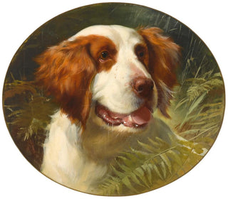 A Brittany Spaniel - George Earl — artwork view