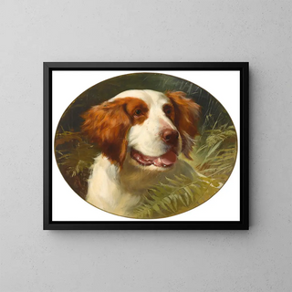 A Brittany Spaniel - George Earl — framed artwork on a wall