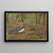 Kaleege with black back - George Edward Lodge — framed artwork on a wall