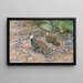 Pheasant peacock of Borneo - George Edward Lodge — framed artwork on a wall