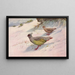 Perdrix sanglante de Geoffroy - George Edward Lodge — framed artwork on a wall