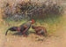 Jungle Gray Cock - George Edward Lodge — artwork view
